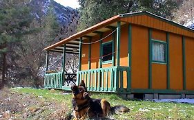 Chalet-Bungalow Ombrage