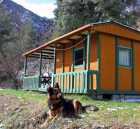Chalet-Bungalow Ombrage Escaro Extérieur photo
